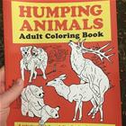 Adult Coloring Book