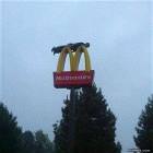 Advanced Planking