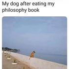 After Eating The Book
