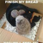 After My Bread