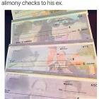 Alimony Checks