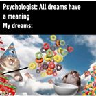 All Dreams