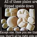 All Of These Plates