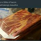 All Of This Bacon