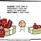 All Pregnant