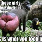All The Girls
