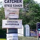All Your Needs