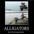 Alligators