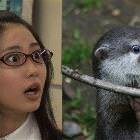 Almost Twins