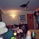 Alot Going On Here