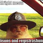 Alright Meow