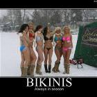 Always In Season