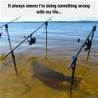 Always Seems Wrong