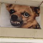 Always Watching