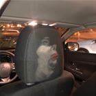 Always Wear Your Seatbelt