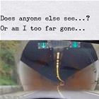 Am I Gone