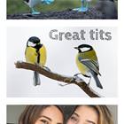Amazing