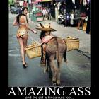 Amazing Ass