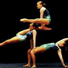 Amazing Gymnasts