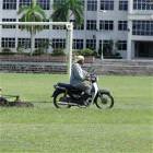 Amazing Law Mower