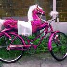 An Amazing Bike