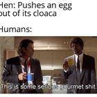 An Egg