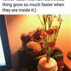 An Excellent Vase