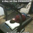 An Hour A Day
