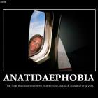 Anatidaephobia