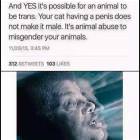 And Yes It Is Possible