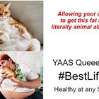 Animal Abuse