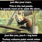 Animal Facts