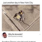 Another Day In Nyc
