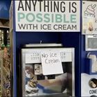 Anything Is Possible