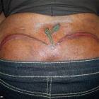 Apple Bottom