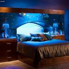 Aquarium Bed