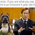 Are What You Eat