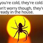 Are You Cold