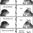 Are You Drunk