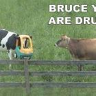 Are You Drunk