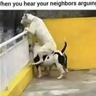 Arguing