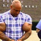 Arms
