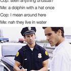 Around Here