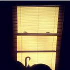 Artsy Fartsy Picture