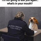 Ask Again