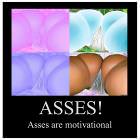 Asses Are Motivational