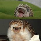 At First But Then