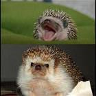 At First But Then I
