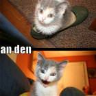 At First I Was