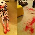 Ate Your Lipstick